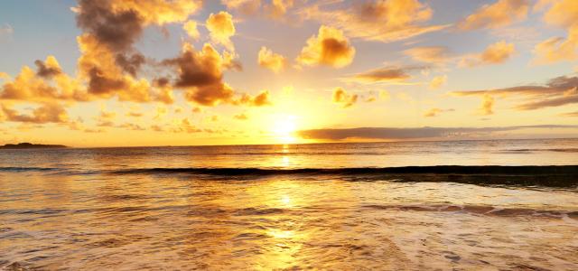 Beautiful sunset on the beach